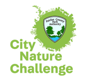 city challenge logo