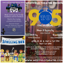 Hunter Mill District upcoming musical posters