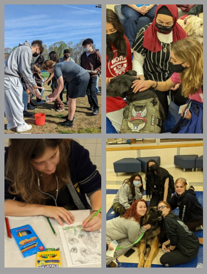 Wellness week collage