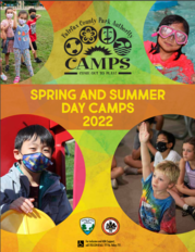 Summer Camps