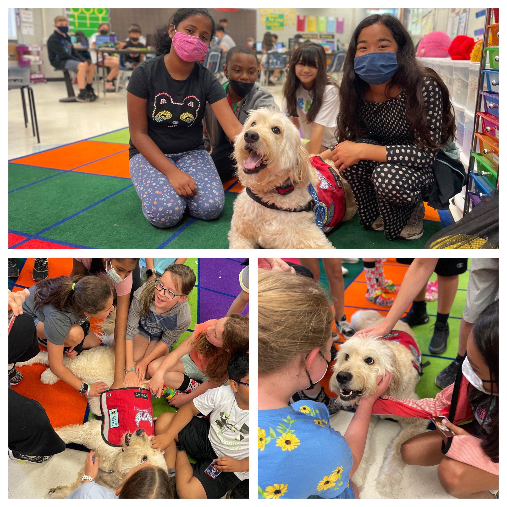 Willow Springs Elementary School News and Information