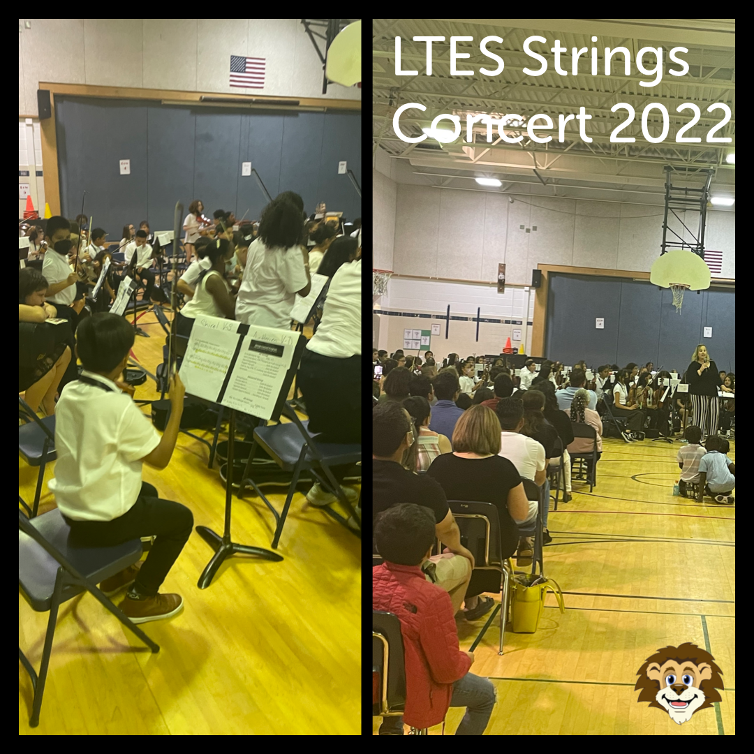 Strings Concert 2022