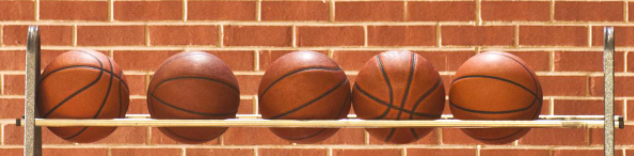 Lady Spartan Basketball Camp