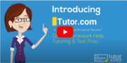 tutor