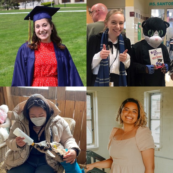 Collage of four new female teachers