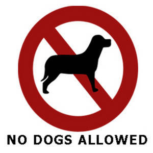 No dogs allowed on school property