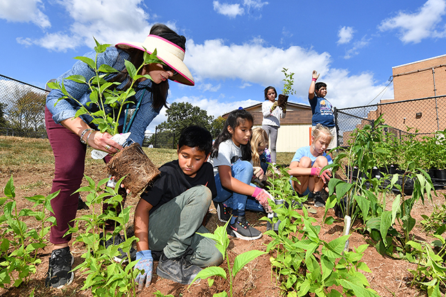 A teacher and group of students work to plant in a garden.