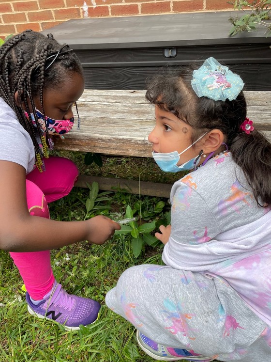 Two girls use a magnifying glass to observe insects in the school butterfly garden
