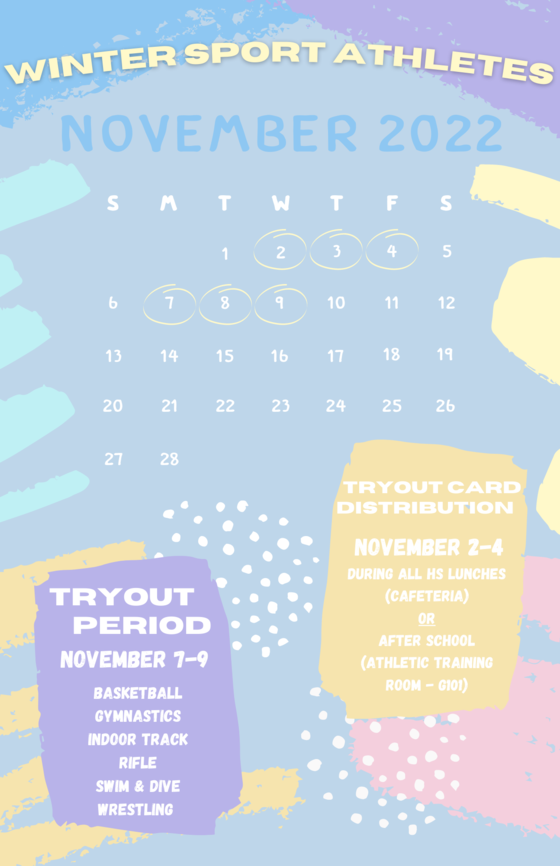 Winter Sports Tryout Cards