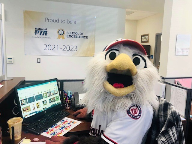 Screech, Washington Nationals Mascot, sits at a computer in the Clermont office with google images of himself appearing on the computer screen.
