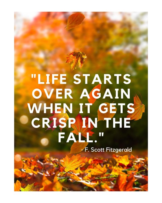 Fall Quote