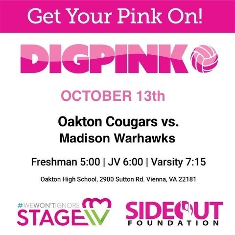 Dig Pink - volleyball game 