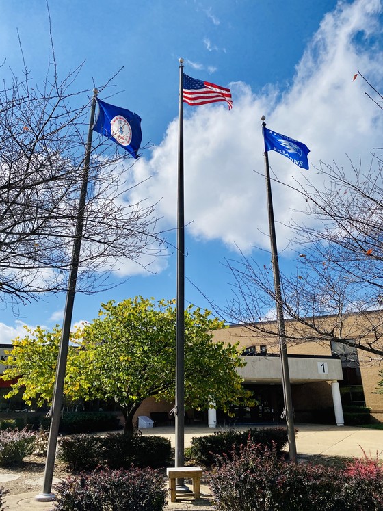 flags picture