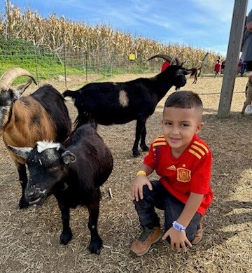 Kindergarten field trip to cox farms