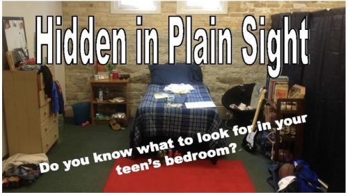 hidden in plain sights teen bedroom