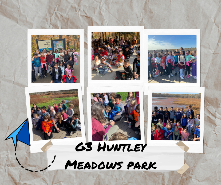 G3 Huntley Meadows Park