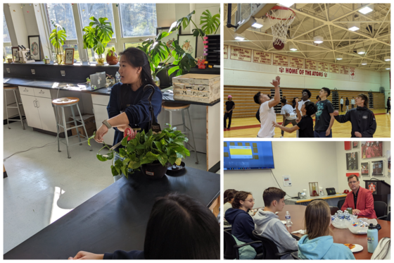 Focus Group & W4 Activities Day