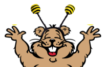 Woody with bee headband