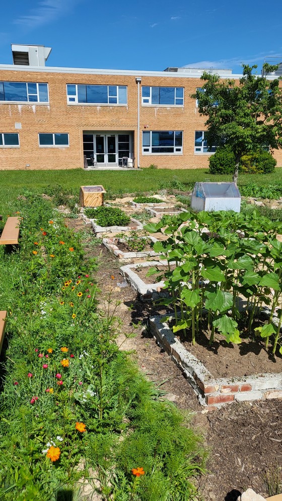 Image of the agricultural production system 9th grade students design.