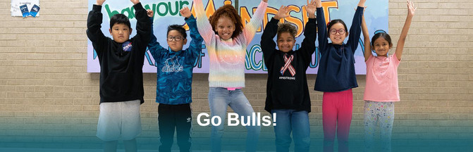 Go BULLS!