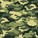 Camoflauge pattern