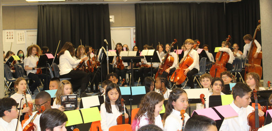 Strings Concert