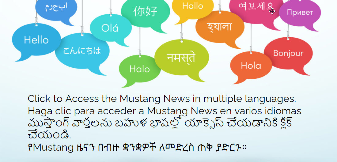 Translate Languages