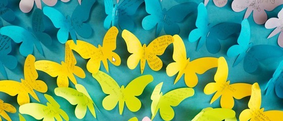 Special Education Enhancement Photo