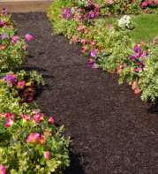 mulch