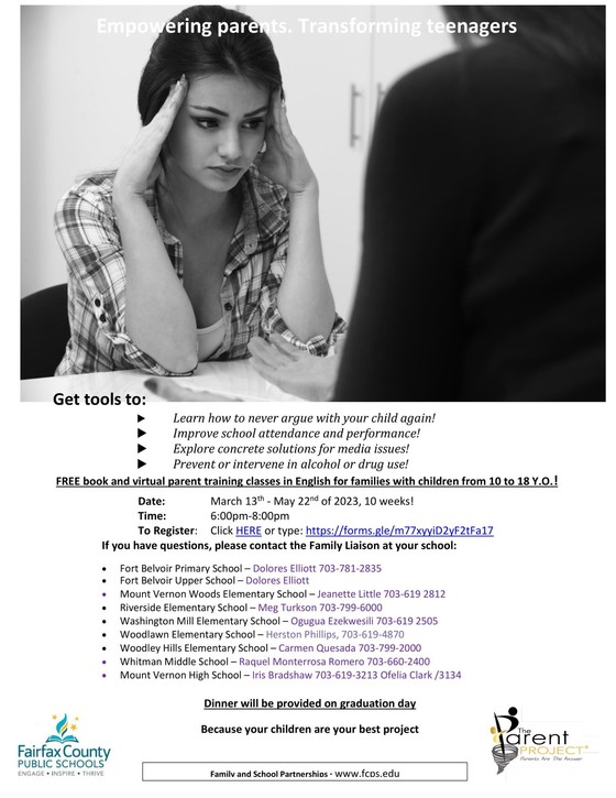 MVHS Pyramid Parent Project