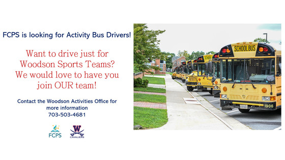 Activity Bus Drivers
