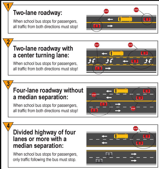 School Bus Traffic laws in pictures