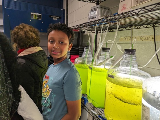 A student standing in front of large jars full of colorful liquid