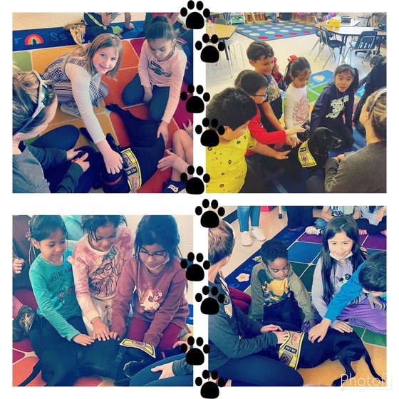 therapy dog visits 1st graders