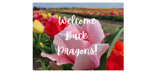 Welcome Back Dragons!