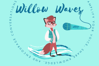 Willow Waves