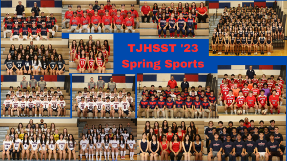 Spring Sports Teams Collage
