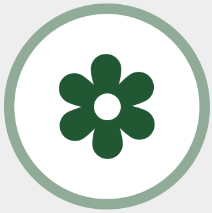 P2 Appreciation of Beauty