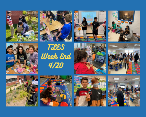 students exploring life cycles, habitats, robotics