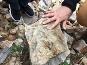 A student finds trace fossils in an Ordovician mudstone