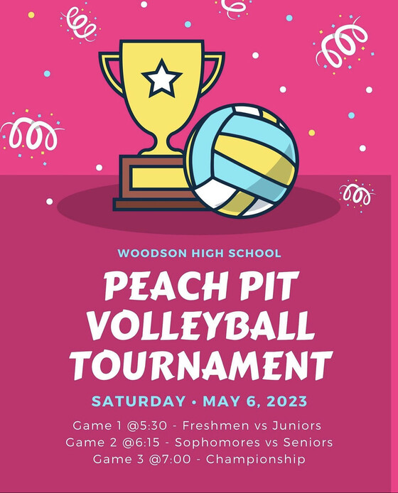 Peach Pit Volleyball Game Details