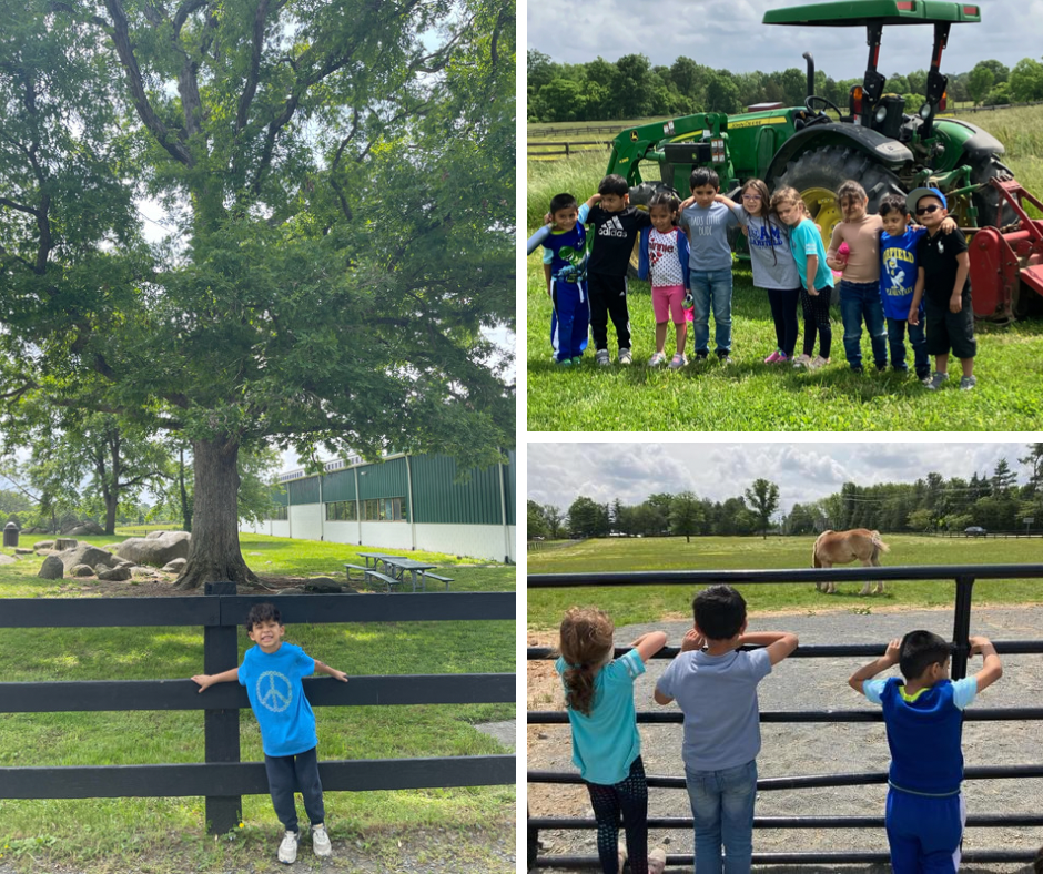 Frying Pan Park Field Trip - Kindergarten