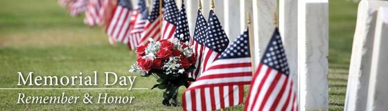 row of American flags in a cemetary
