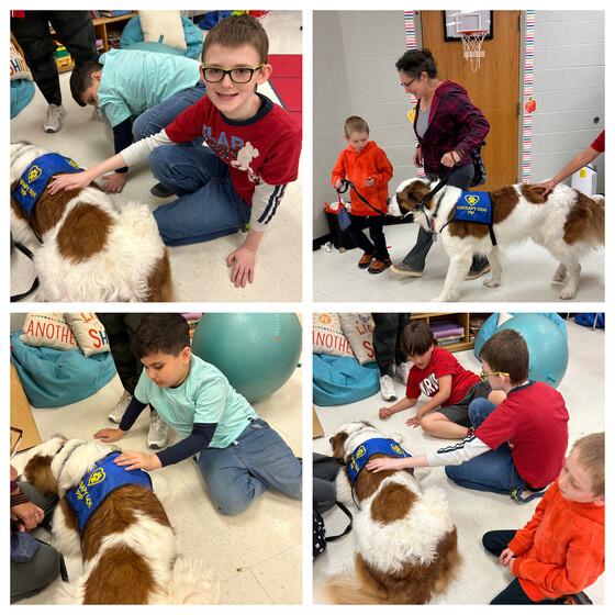 Therapy Dogs