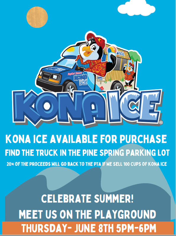 kona ice 