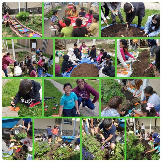 soil erosion project