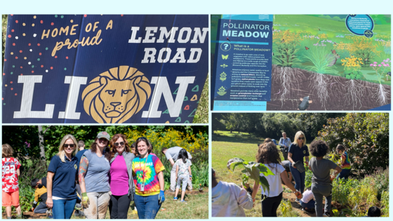 Lemon Road ES R3 planting event collage