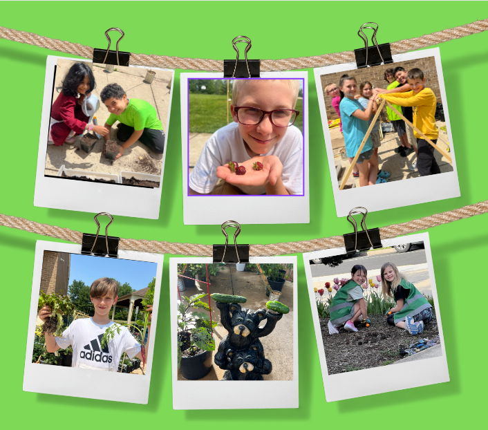 Green Team Collage