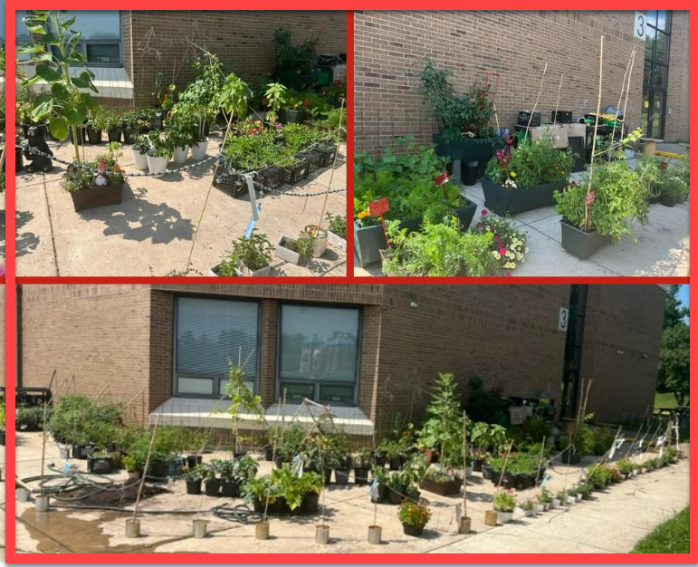 garden collage