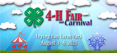 4-H carnival